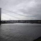 IW warnt vor den Folgen des Rhein-Niedrigwassers