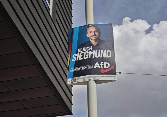 Forsa: Mehrheit lehnt AfD-Forderungen in Sachsen-Anhalt ab