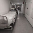 RKI meldet fast 12.000 hitzebedingte Sterbefälle