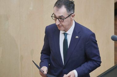 Özdemir konkretisiert Forderung nach AfD-Verbotsverfahren