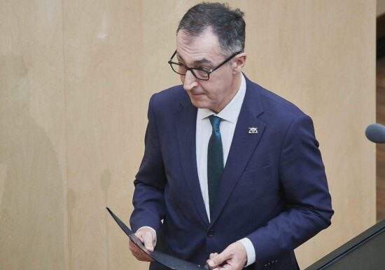 Özdemir konkretisiert Forderung nach AfD-Verbotsverfahren