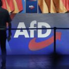 Ex-Verfassungsrichter warnt vor "kleinem Parteiverbot" der AfD