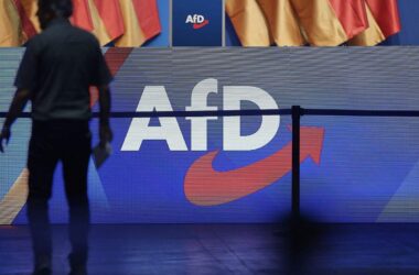 Ex-Verfassungsrichter warnt vor "kleinem Parteiverbot" der AfD