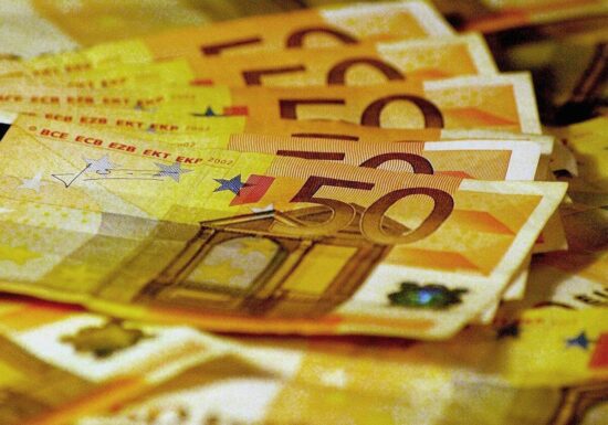 Ökonomen kritisieren Weidels Euro-Ausstiegspläne
