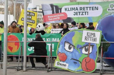 Paläobiologe kritisiert "halbherzige" Klimapolitik