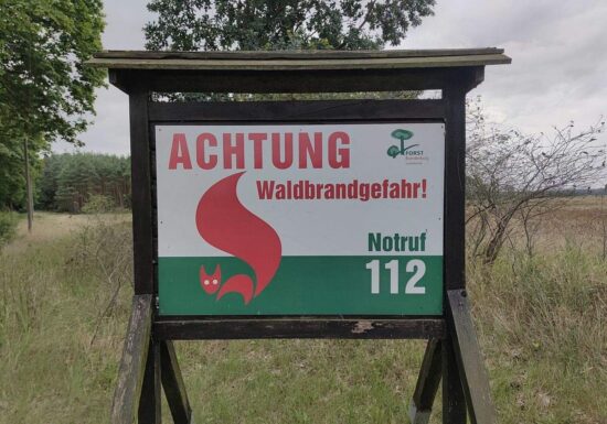Feuerwehrverband: Höhere Strafen bei Waldbränden kein Allheilmittel