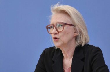 Schnitzer warnt vor Tankrabatt und Preisdeckel