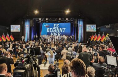 Weimar-Forscher: AfD nicht mit NSDAP vergleichbar