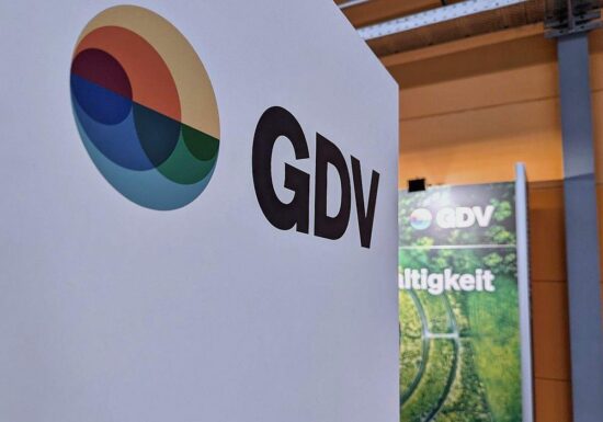 Versicherer pochen auf mehr Weitsicht bei Klimaanpassung