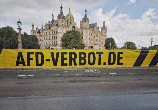 Ex-Verfassungsrichter: Russland-Kontakte für AfD-Verbot relevant