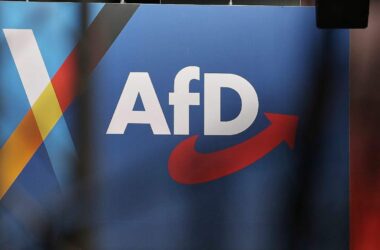Insa: AfD bleibt stärkste Kraft - Linke und FDP legen zu