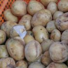 Kartoffelernte fällt dieses Jahr schwächer aus