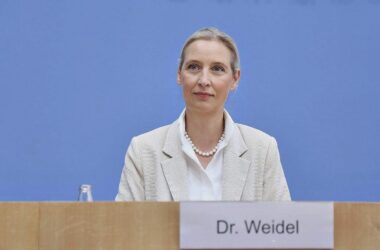 Weidel kritisiert Wüst wegen AfD-Prüfvorstoß