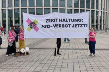 Grüne fordern Union zu Initiative für AfD-Verbotsprüfung auf