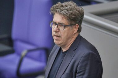 Grüne pochen auf Direktzahlungen statt erneutem Tankrabatt