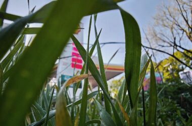 Ökonomen und Verbände uneins über Tankrabatt