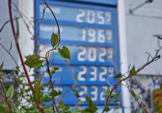 Grüne lehnen neuen Tankrabatt ab - Stromsteuer soll sinken