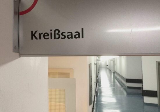 Brosius-Gersdorf für Legalisierung von Eizellspenden
