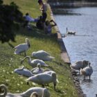 DWD: September ungewöhnlich warm und im Südwesten extrem trocken