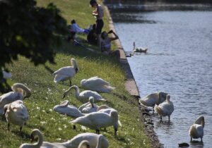 DWD: September ungewöhnlich warm und im Südwesten extrem trocken