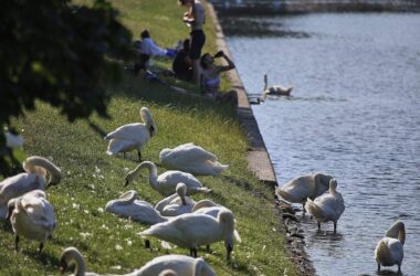 DWD: September ungewöhnlich warm und im Südwesten extrem trocken