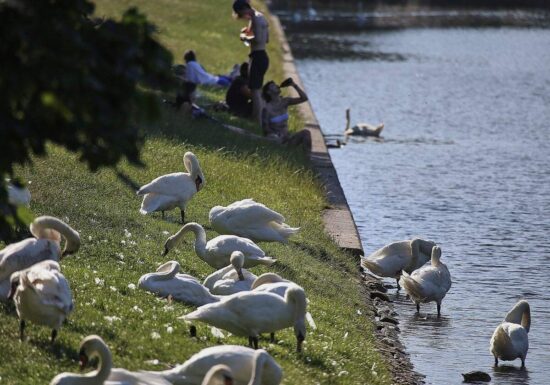 DWD: September ungewöhnlich warm und im Südwesten extrem trocken