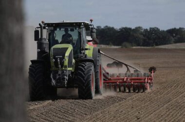 Erzeugerpreise landwirtschaftlicher Produkte im Juli stark gesunken
