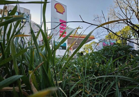 Frei fordert Mehrwertsteuersenkung auf Sprit zum 1. Oktober