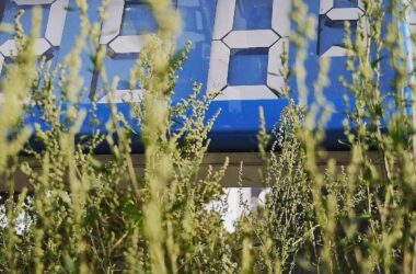 Schweitzer fordert Entlastung beim Tanken über Jahresende hinaus