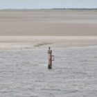 Deutschland will CO2 nach Dänemark und Holland "exportieren"
