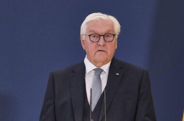 Steinmeier hofft bei Klimaschutz auf technologische Innovationen