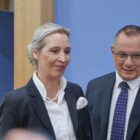 AfD bleibt in Allensbach-Umfrage klar stärkste Kraft