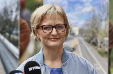 Grünen-Chefin: "Schwarz-Rot-Gold selbstbewusst zeigen"
