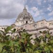 Papst erfolgreich an Lunge operiert