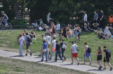 Fettleber-Erkrankungen bei jungen Erwachsenen steigen stark