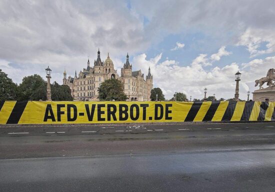 Schwesig fordert Bund-Länder-Arbeitsgruppe zu AfD-Verbot