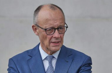 Grüne kritisieren Merz bei Suche nach Steinmeier-Nachfolger