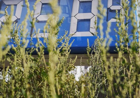 Produktion von Benzin und Diesel im 1. Halbjahr 2026 gestiegen