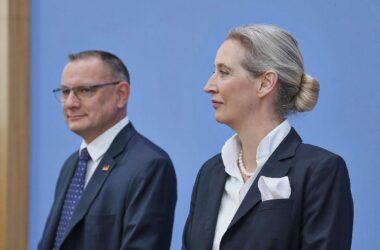 Forsa: AfD legt zu - Union wieder bei 20 Prozent