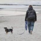 Einnahmen aus Hundesteuer stagnieren auf hohem Niveau