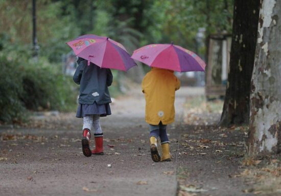 Grüne werfen Schwarz-Rot ungerechte Familienpolitik vor