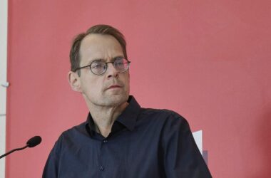 Linke fordert Merz nach AfD-Wahl in Sachsen-Anhalt zum Handeln auf